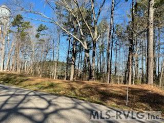 000 Piney Pond Rd Property Photo 5