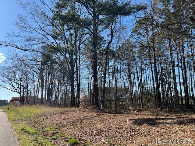 000 Piney Pond Rd Property Photo 6