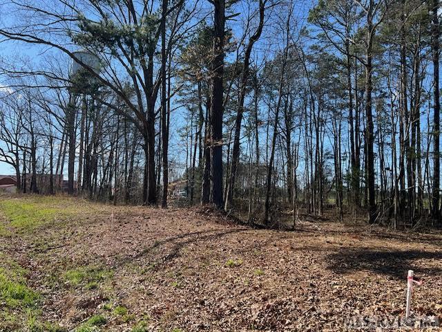 000 Piney Pond Rd Property Photo 7
