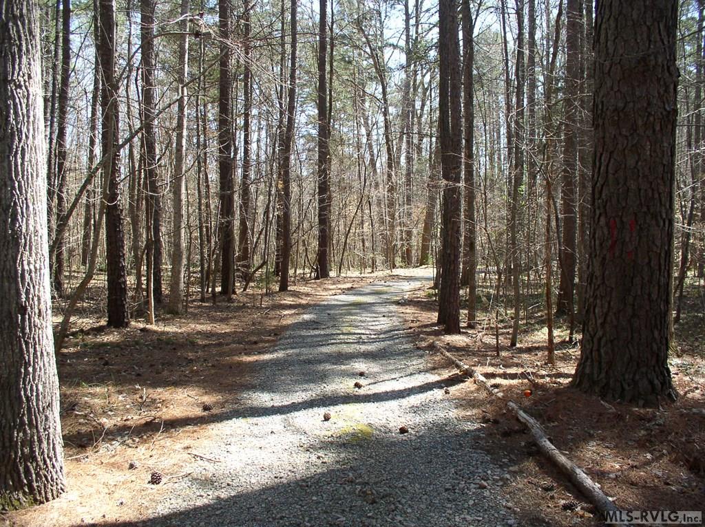 3003 Jonathans Landing Property Photo 6