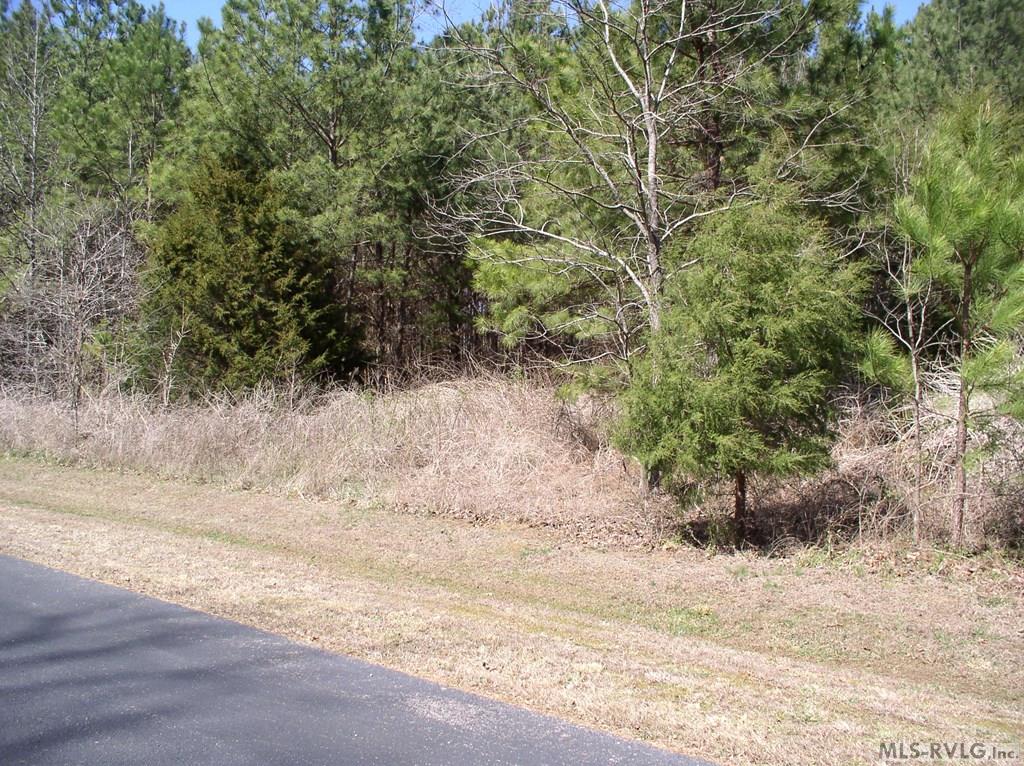 3003 Jonathans Landing Property Photo 17