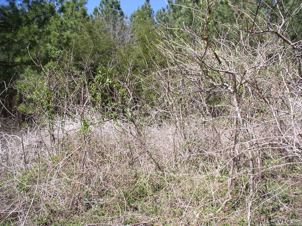 3003 Jonathans Landing Property Photo 19