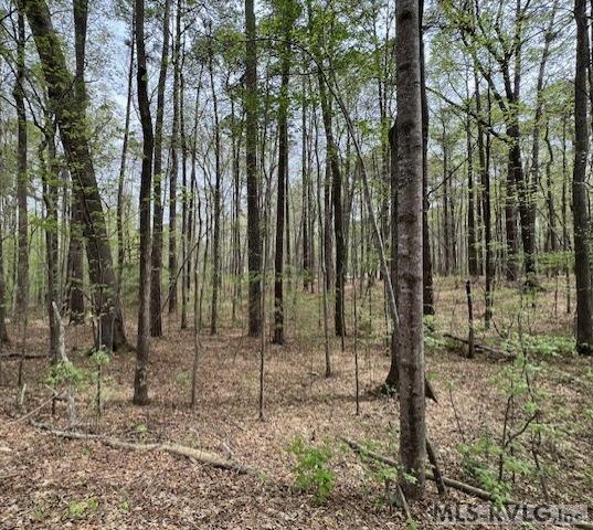 0 Forest Hills Dr Property Photo