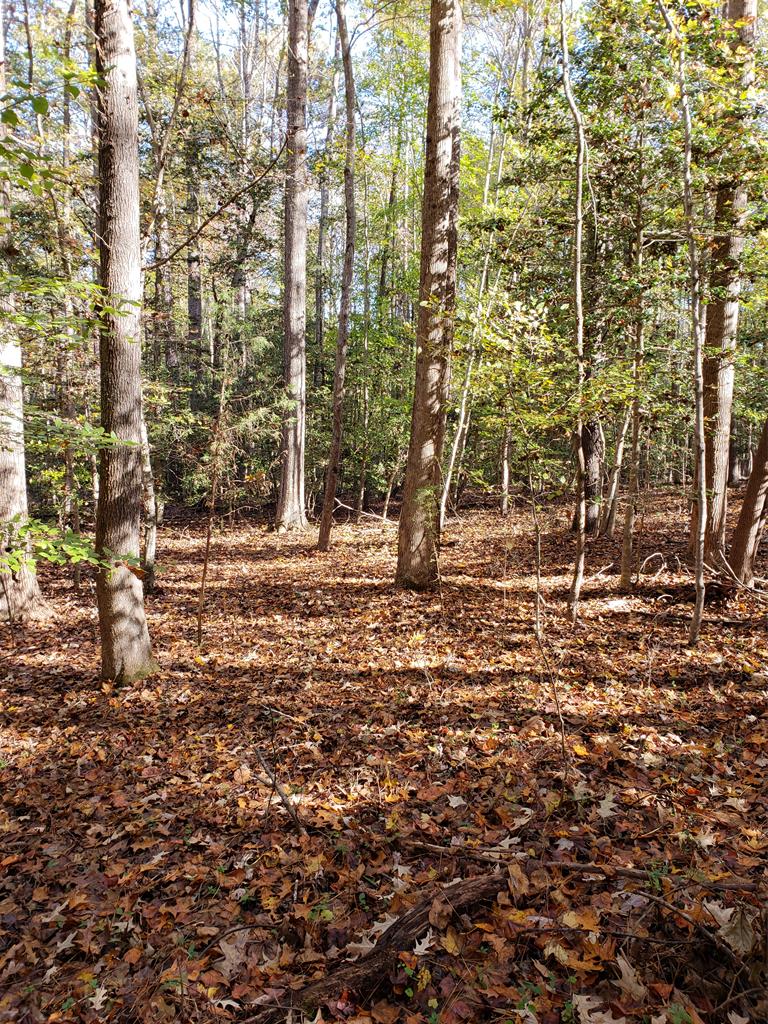 Lot 29 Section B Property Photo