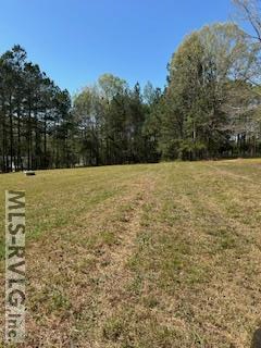 3549 Nellie Jones Road Property Photo