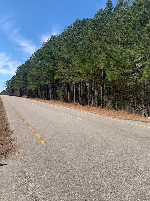 0 Blue Star Hwy Property Photo
