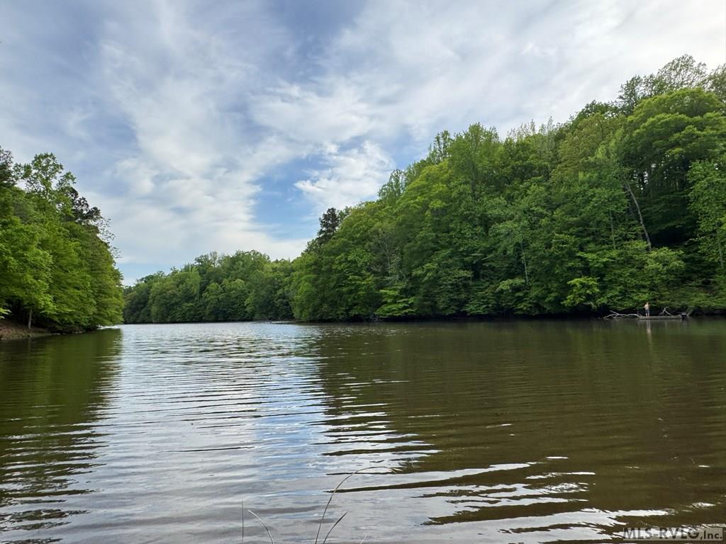 Lot 8 Canoe Creek Drive Property Photo 10