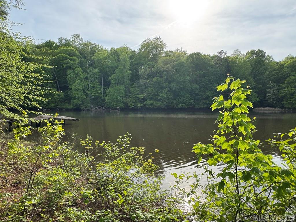 Lot 8 Canoe Creek Drive Property Photo 12