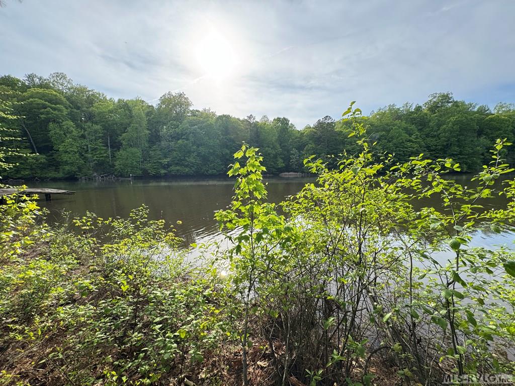 Lot 8 Canoe Creek Drive Property Photo 13
