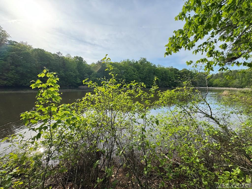 Lot 8 Canoe Creek Drive Property Photo 14