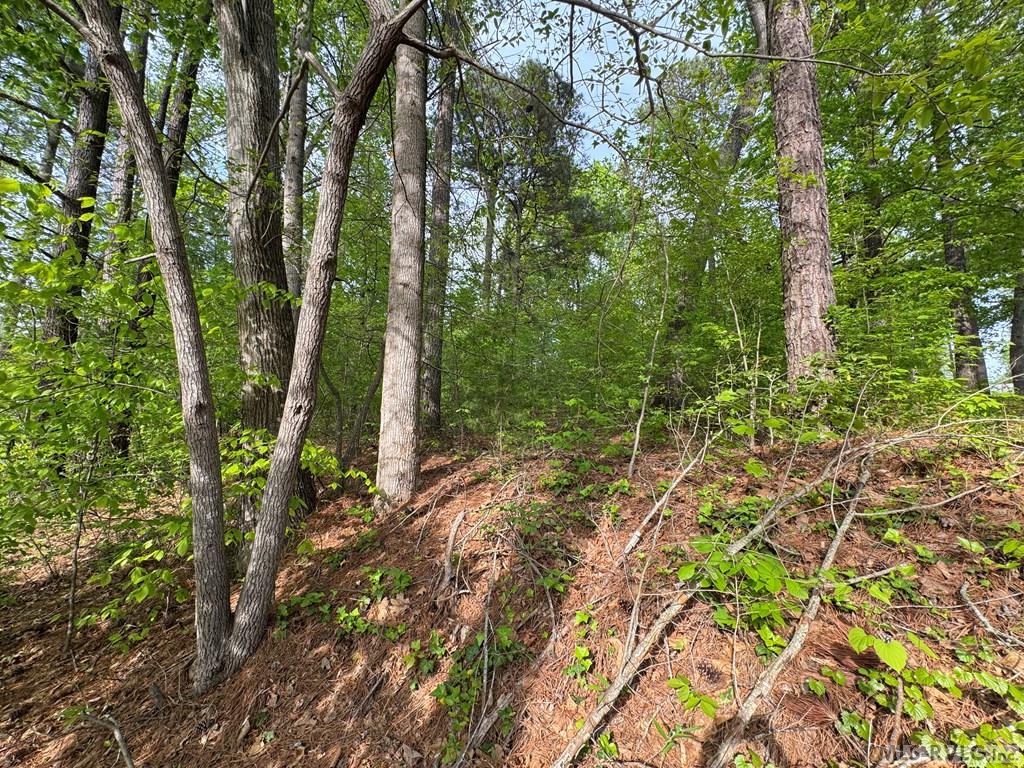 Lot 8 Canoe Creek Drive Property Photo 15