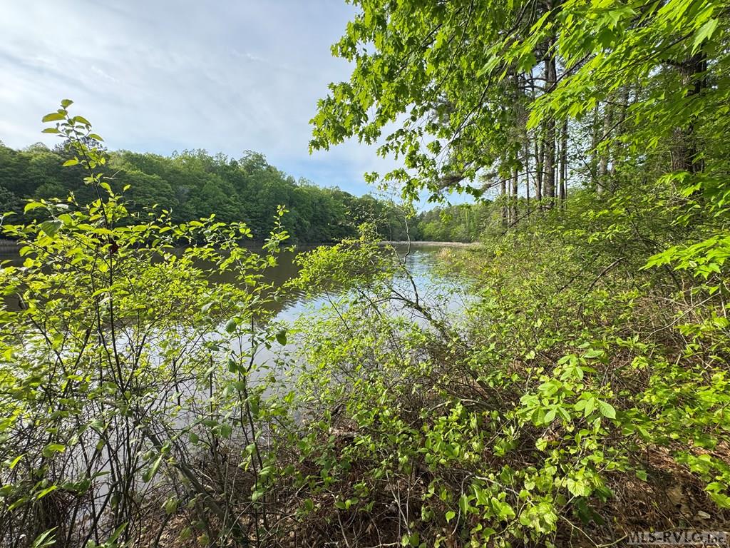 Lot 8 Canoe Creek Drive Property Photo 16