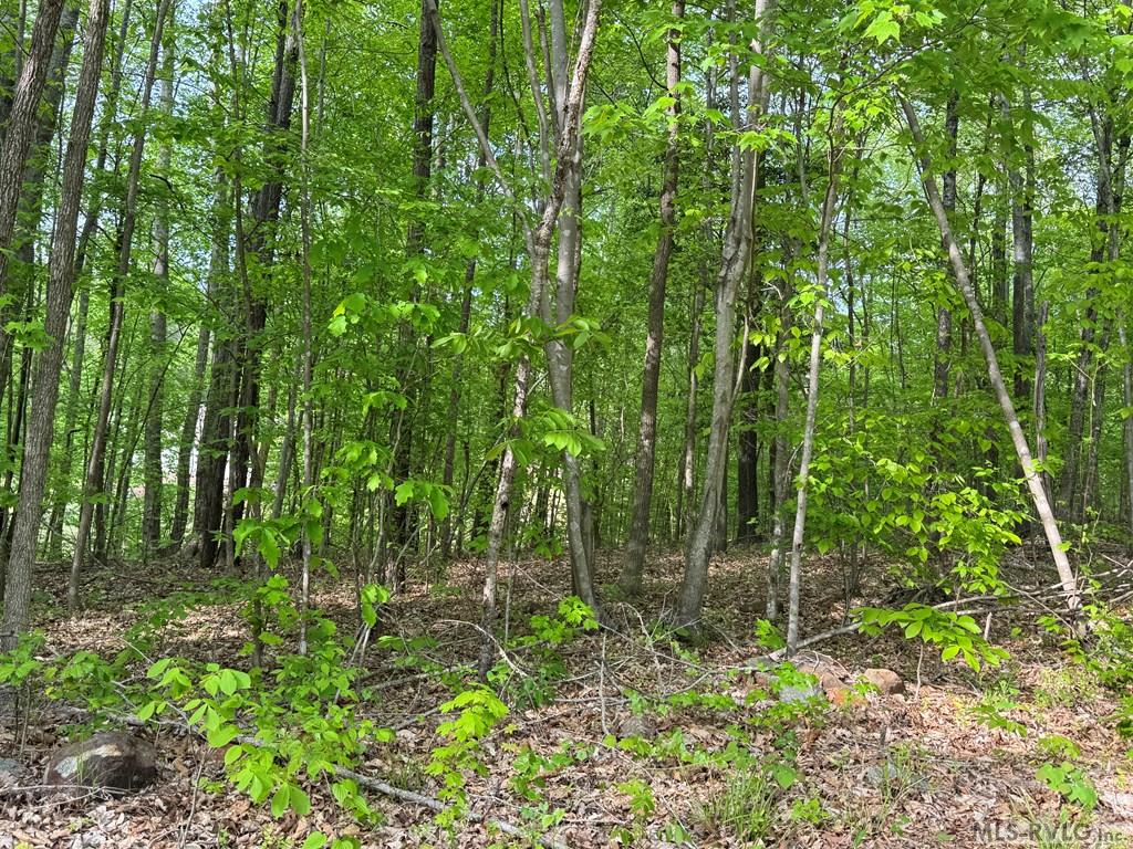 Lot 8 Canoe Creek Drive Property Photo 18