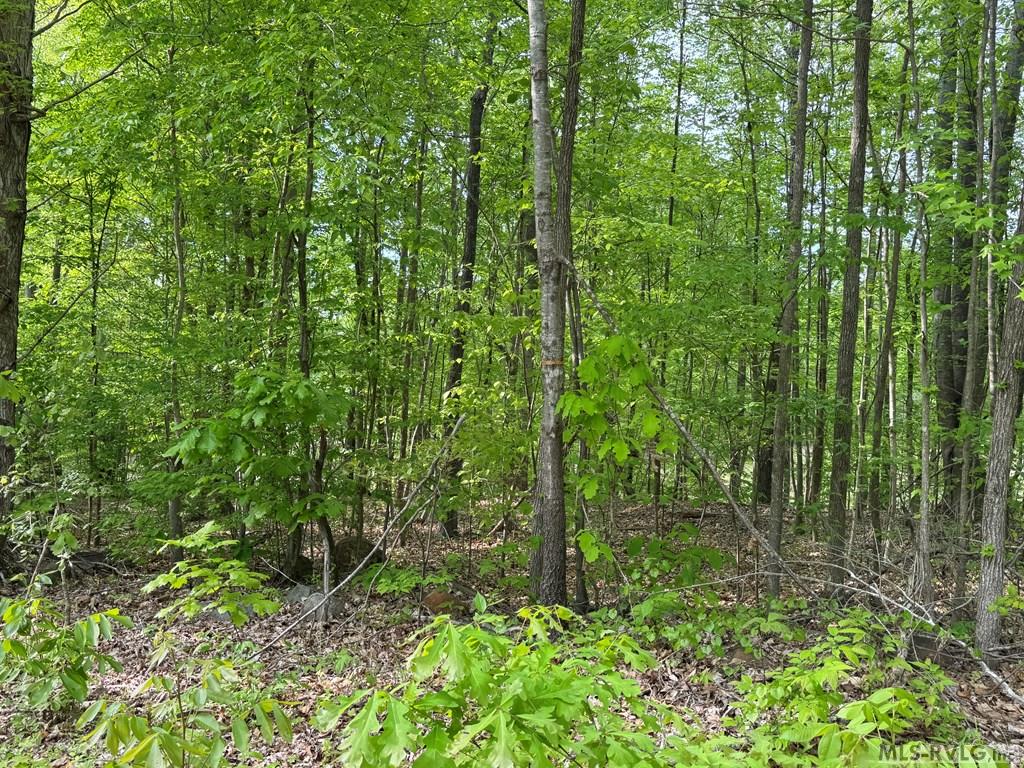 Lot 8 Canoe Creek Drive Property Photo 19