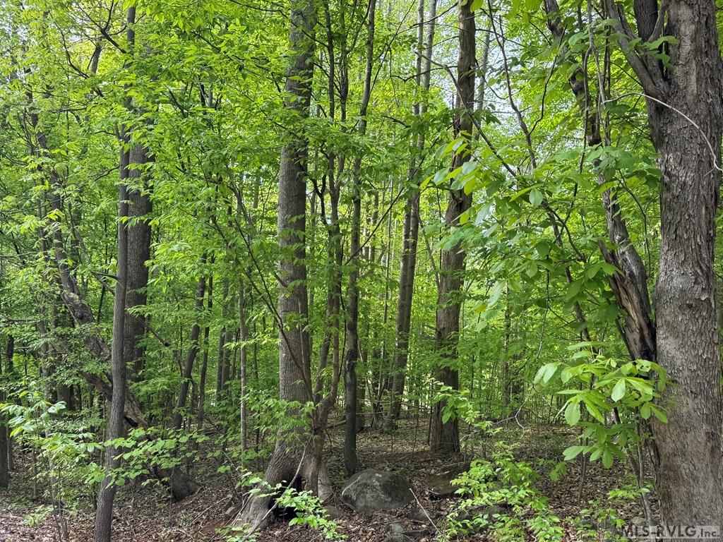 Lot 8 Canoe Creek Drive Property Photo 20