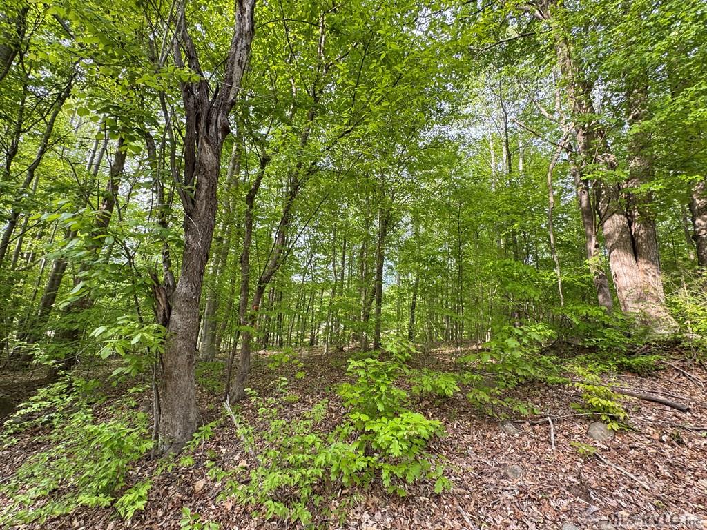 Lot 8 Canoe Creek Drive Property Photo 21