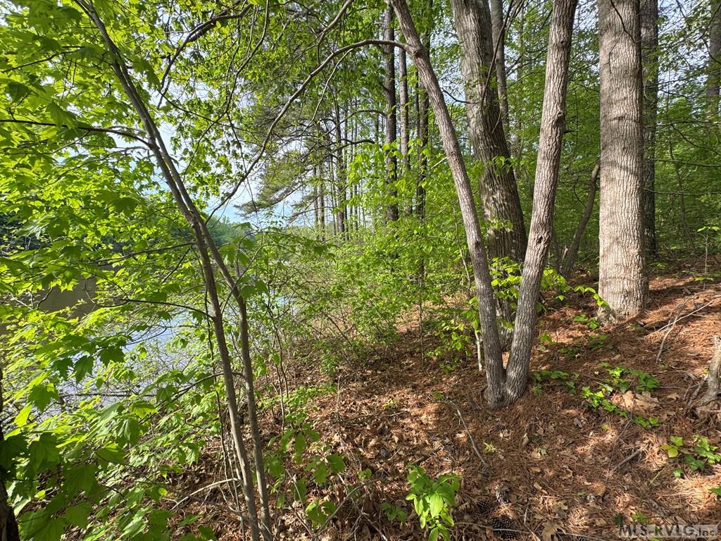 Lot 8 Canoe Creek Drive Property Photo 22