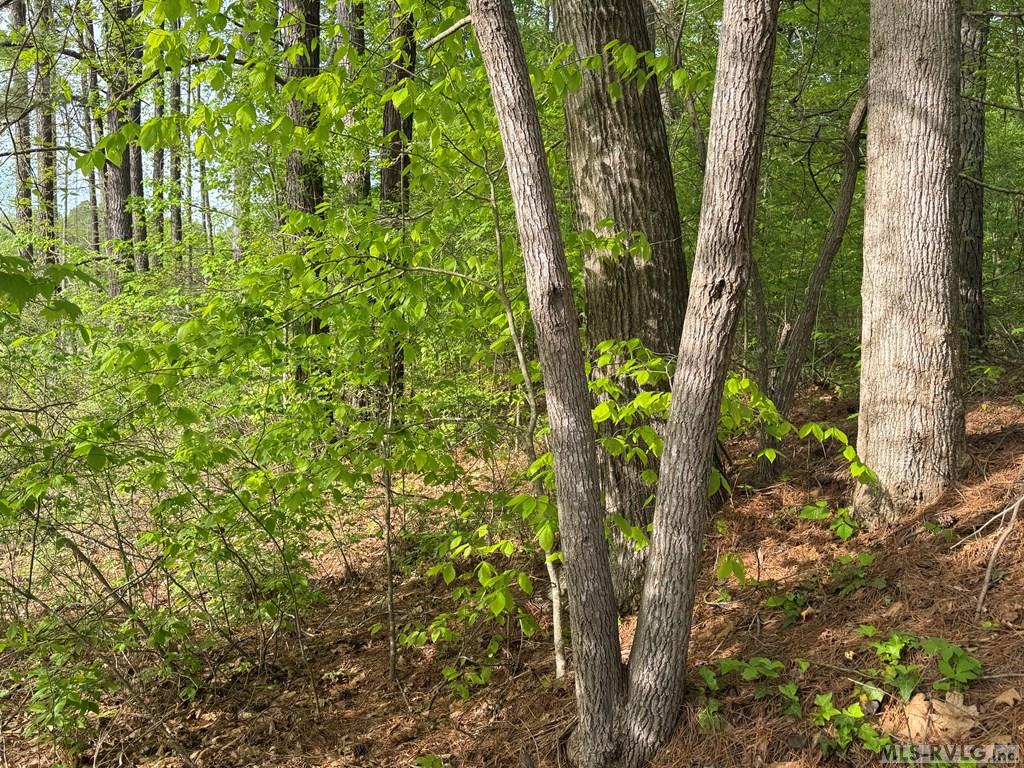 Lot 8 Canoe Creek Drive Property Photo 23