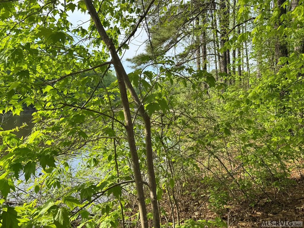 Lot 8 Canoe Creek Drive Property Photo 25