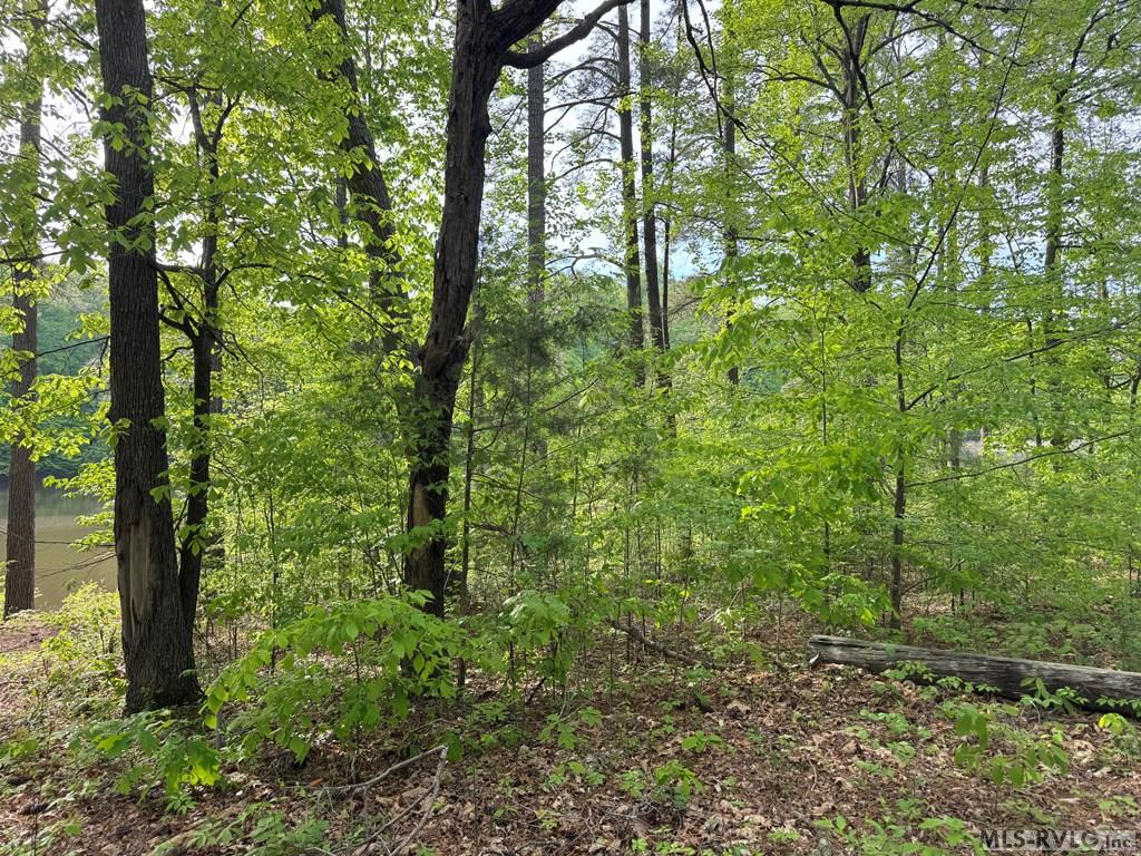 Lot 8 Canoe Creek Drive Property Photo 27