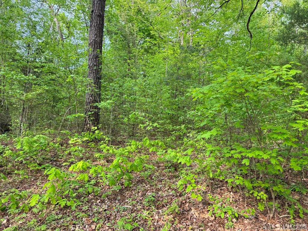 Lot 8 Canoe Creek Drive Property Photo 28