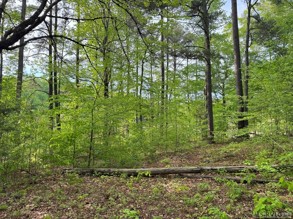 Lot 8 Canoe Creek Drive Property Photo 29