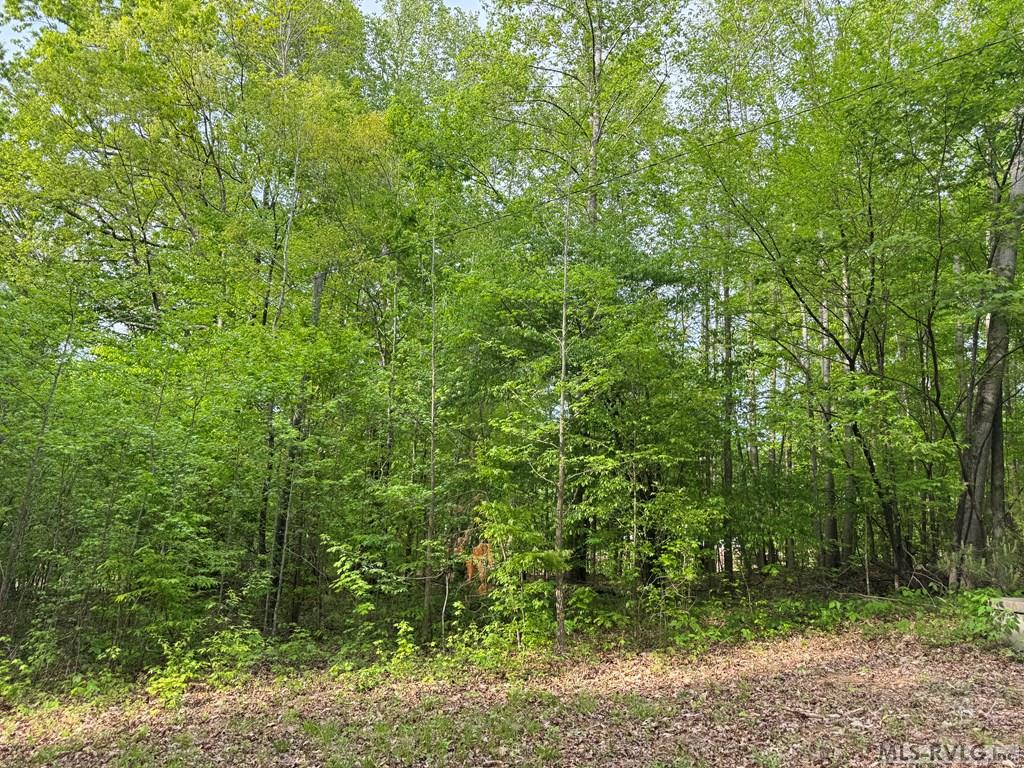Lot 8 Canoe Creek Drive Property Photo 30