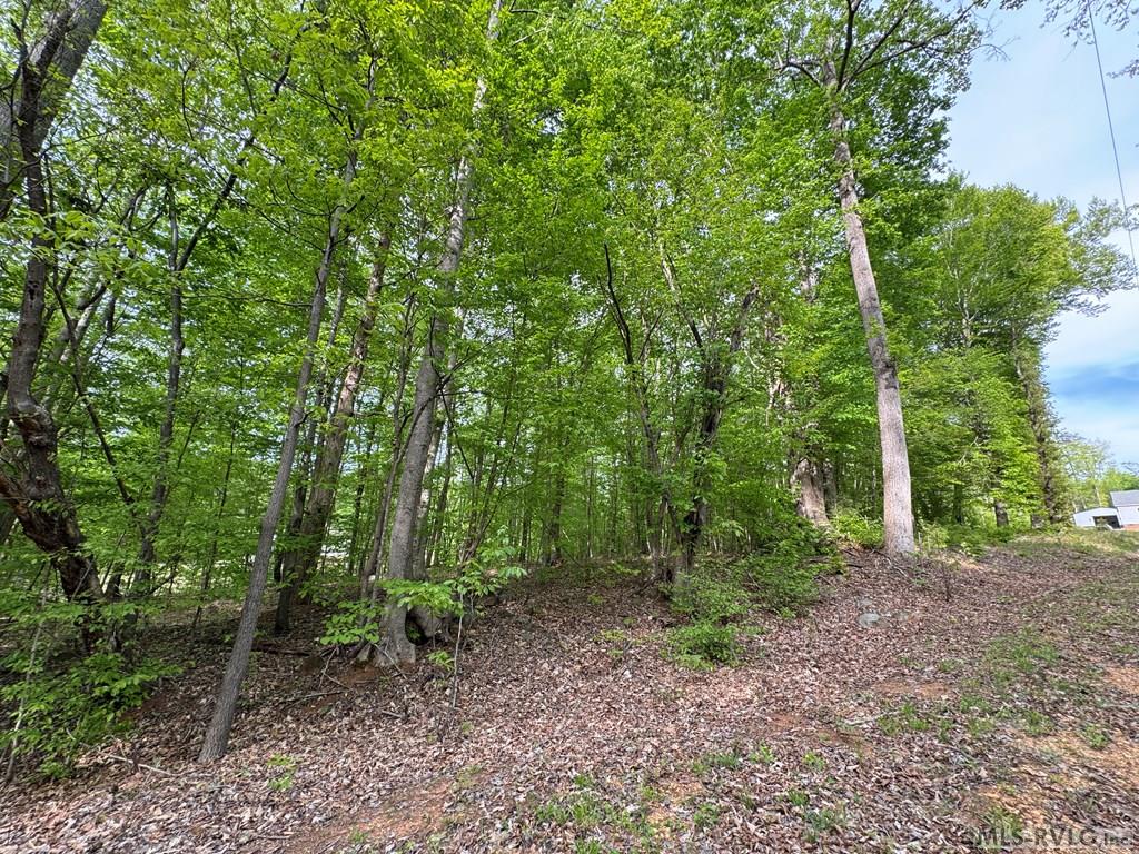 Lot 8 Canoe Creek Drive Property Photo 32
