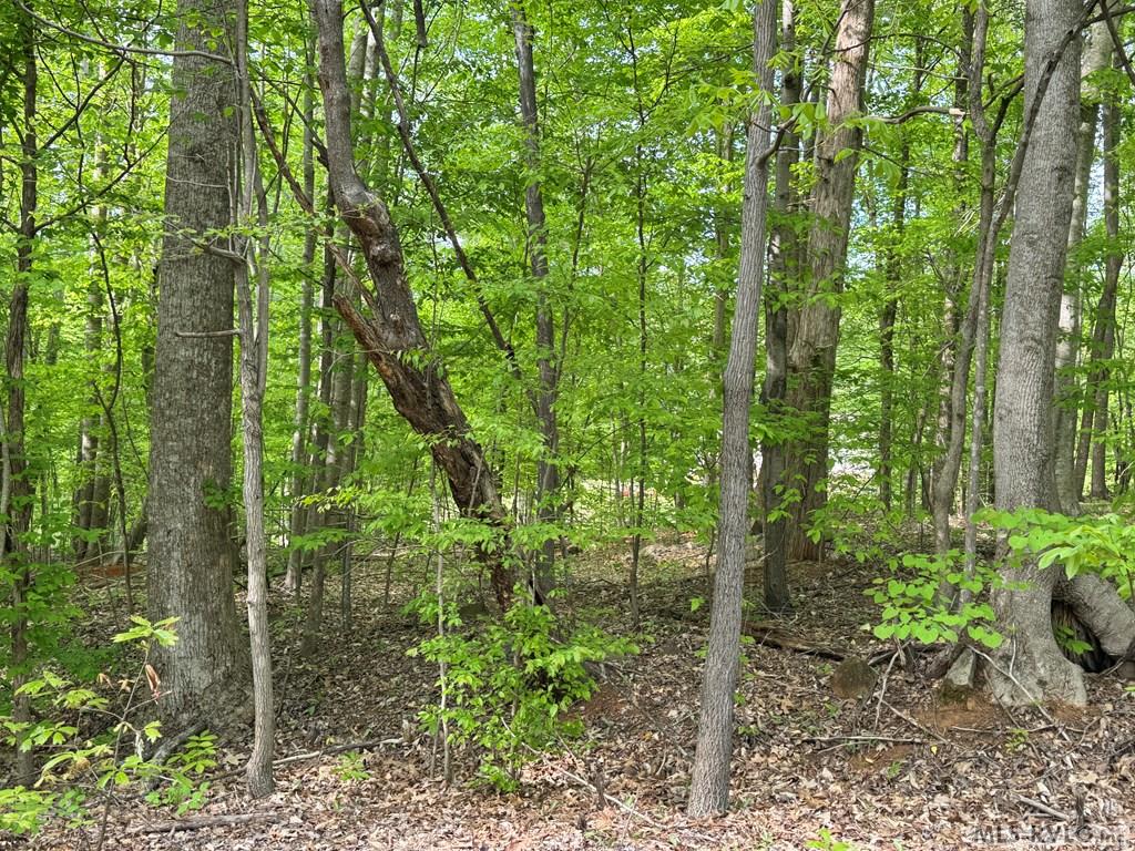 Lot 8 Canoe Creek Drive Property Photo 33