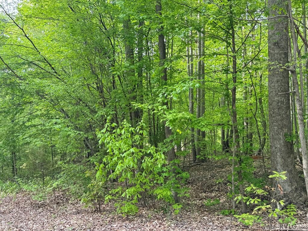 Lot 8 Canoe Creek Drive Property Photo 34