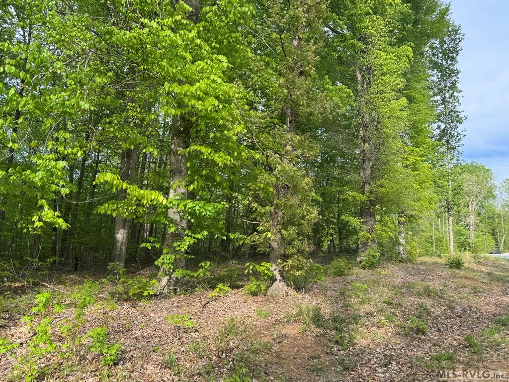 Lot 8 Canoe Creek Drive Property Photo 35
