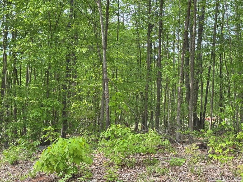Lot 8 Canoe Creek Drive Property Photo 36