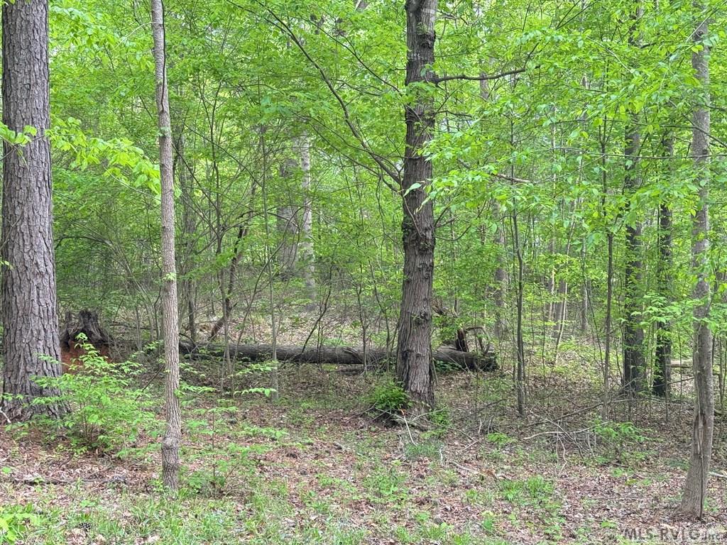 Lot 8 Canoe Creek Drive Property Photo 37