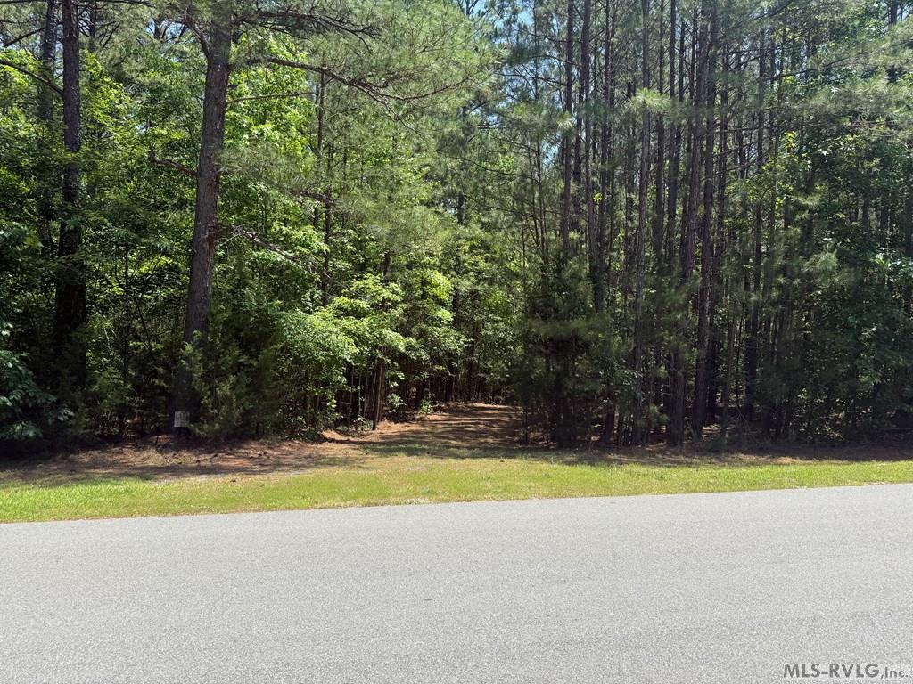 0 Birdsong Rd Property Photo 3