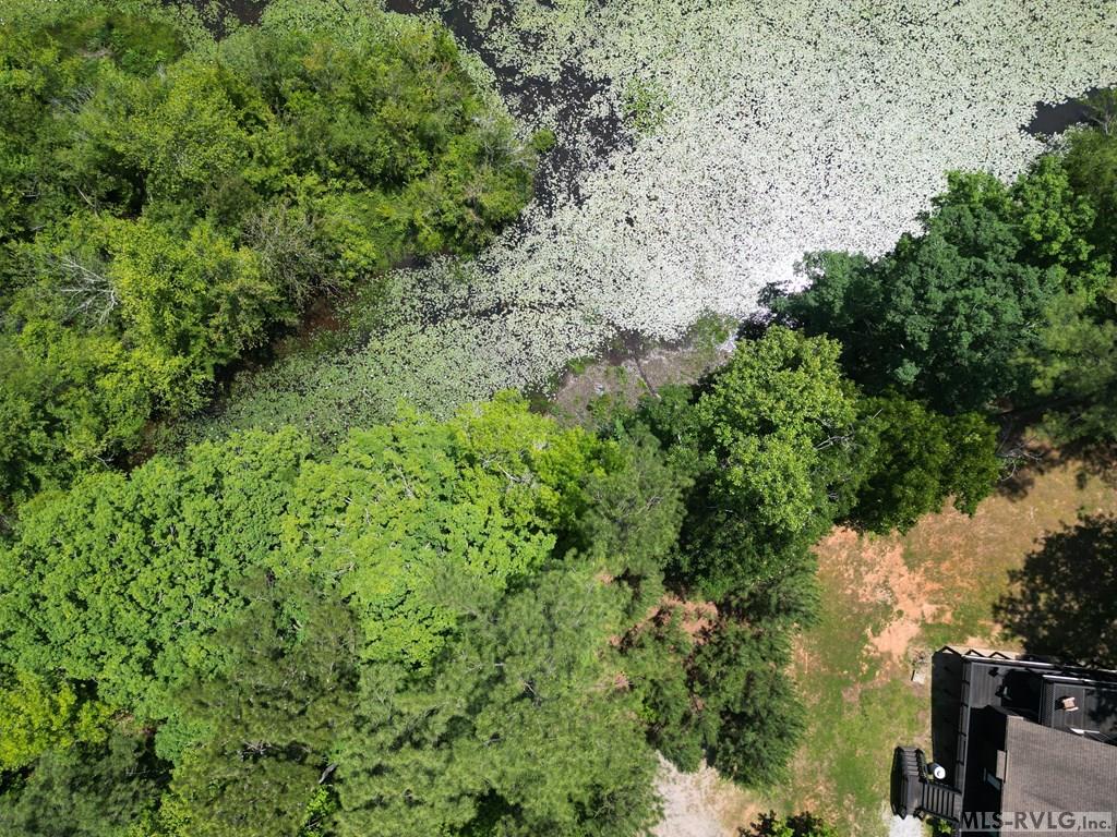 0 Birdsong Rd Property Photo 6