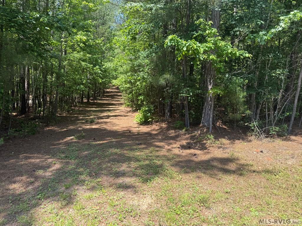 0 Birdsong Rd Property Photo 8