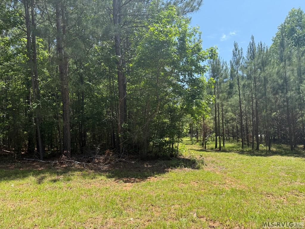 0 Birdsong Rd Property Photo 9