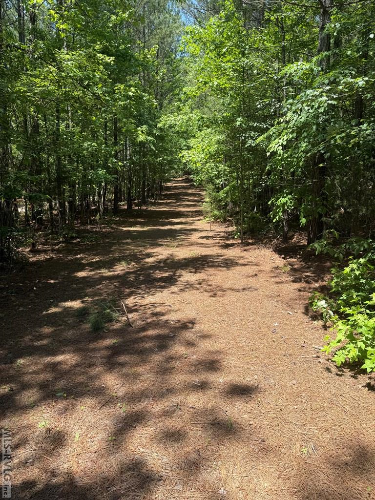 0 Birdsong Rd Property Photo 10