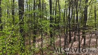 000 Twin Oaks Lane Property Photo 2