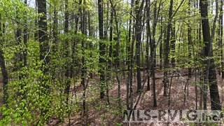 000 Twin Oaks Lane Property Photo 3