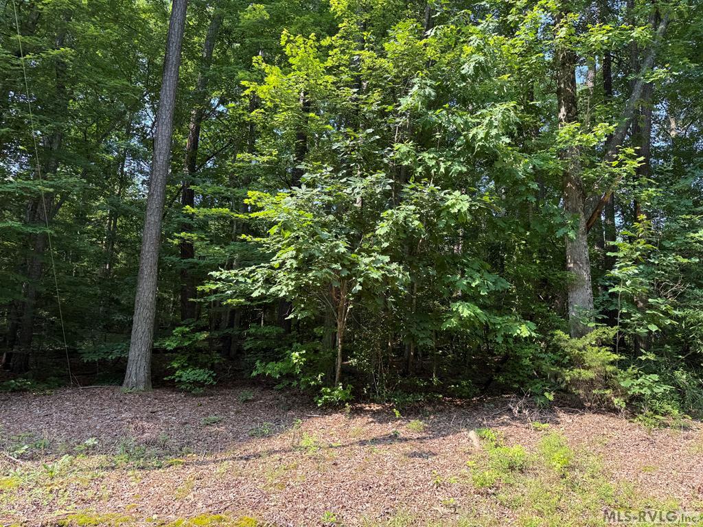 149 Spring Branch Drive Property Photo 1