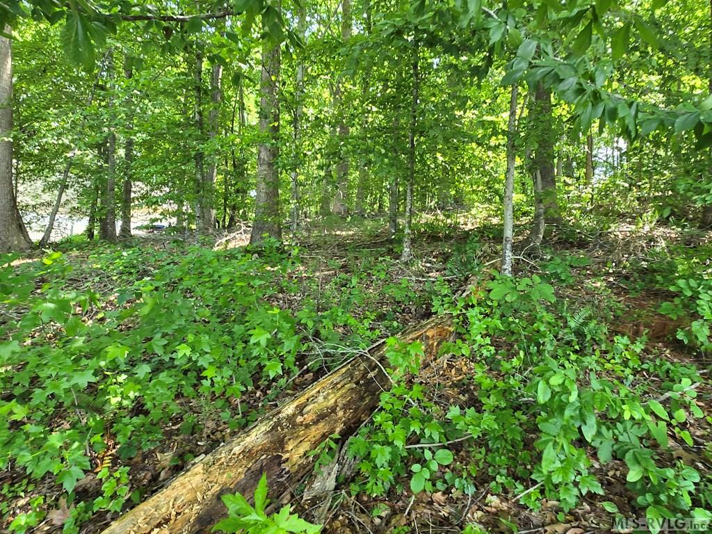 Tbd North Macon Drive Property Photo 3