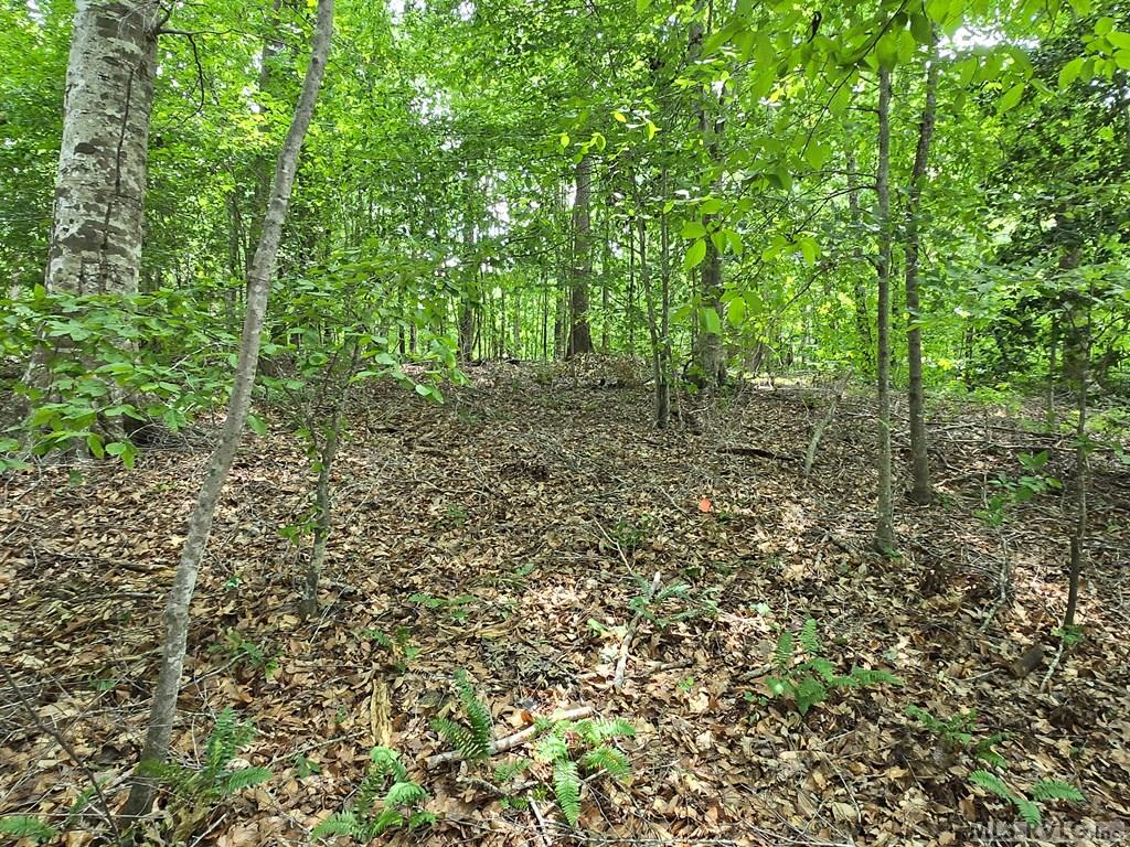 Tbd North Macon Drive Property Photo 4