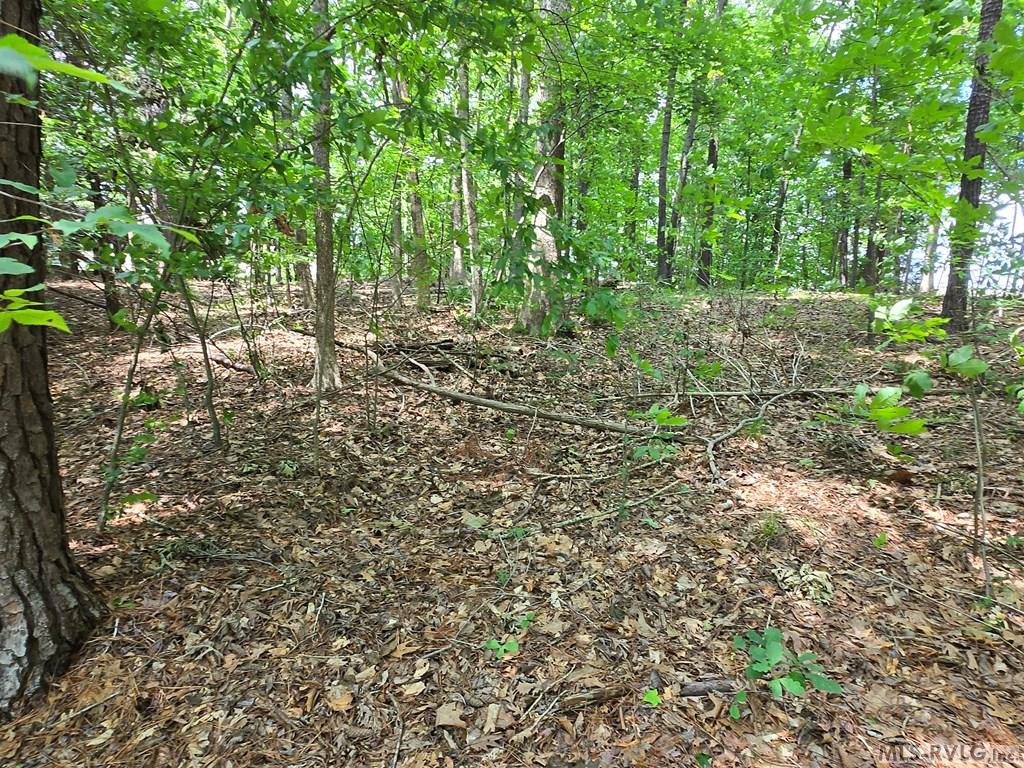 Tbd North Macon Drive Property Photo 5