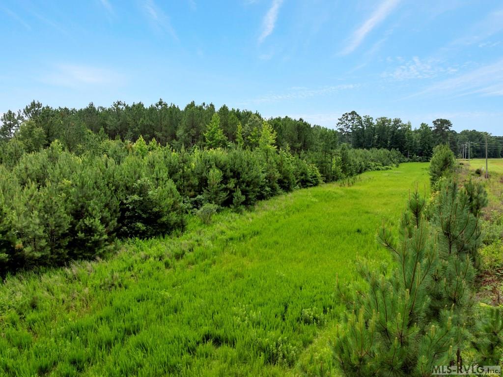 0 Hwy 125 Carolina Crossroads Parkway Property Photo 11