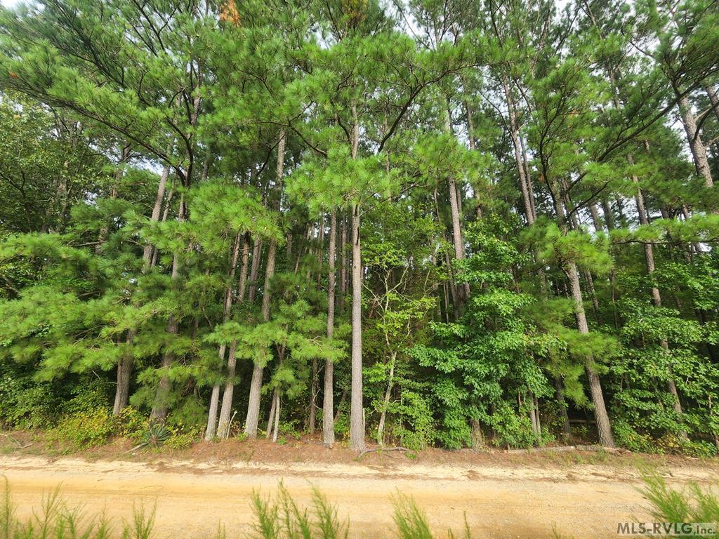 263 Joe True Lane Property Photo 1