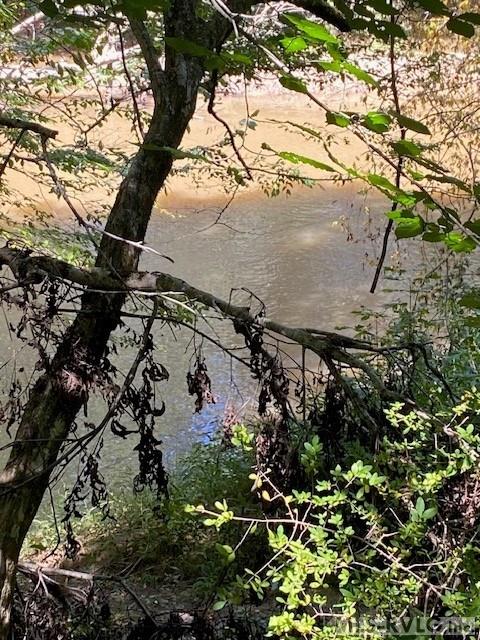 000 Coldwater Creek Property Photo 6