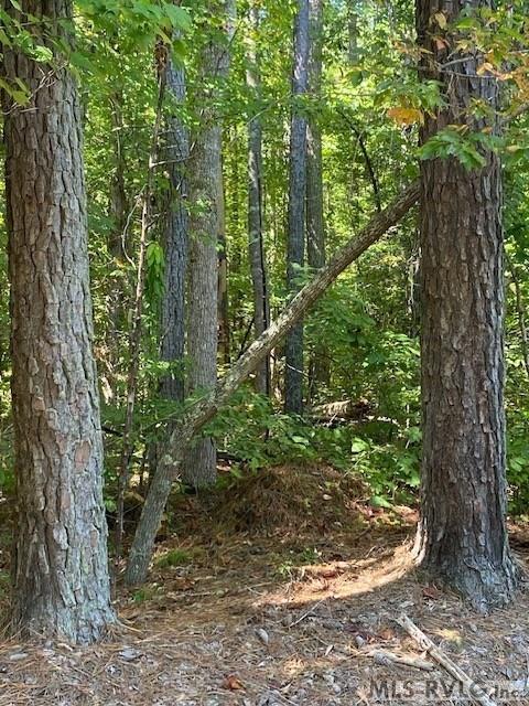 000 Coldwater Creek Property Photo 9