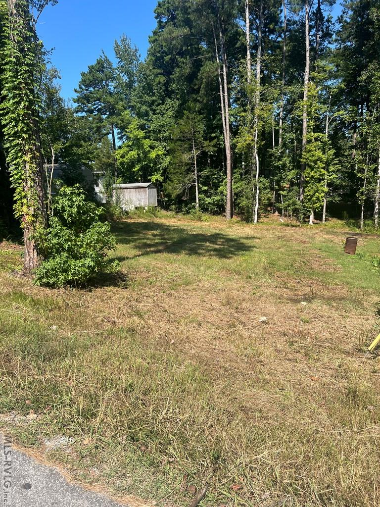 254 Feather Trail Property Photo 3