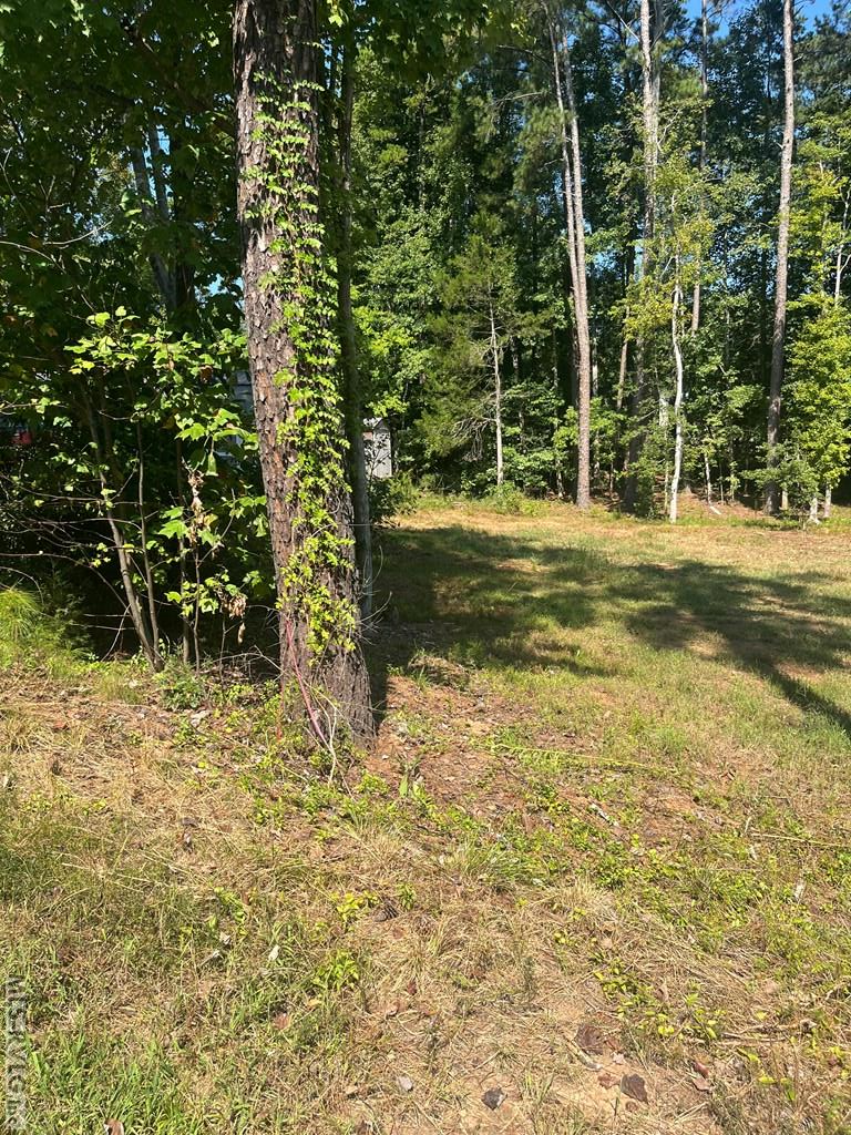 254 Feather Trail Property Photo 4